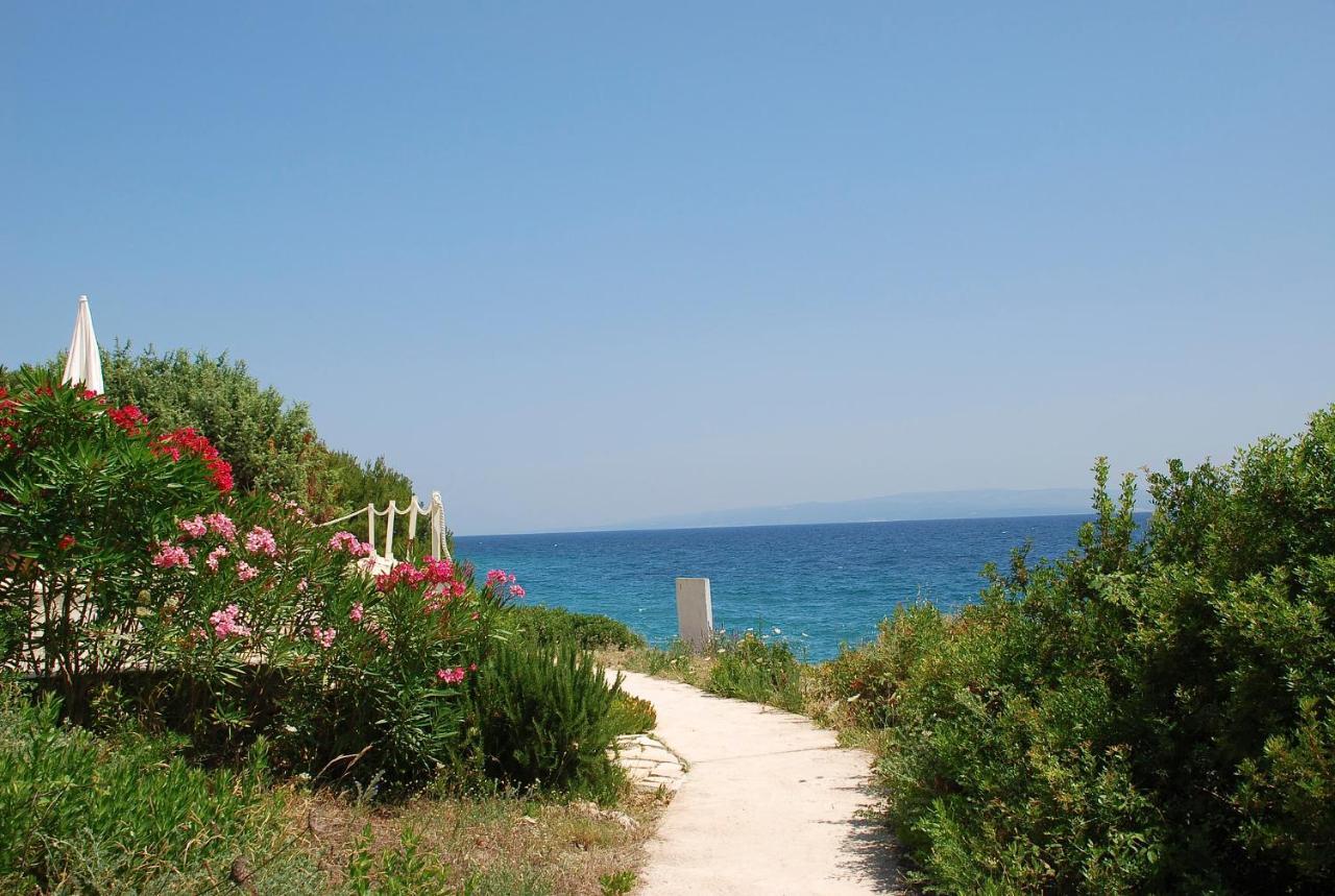Dream View Apartments Dalmatia โตรกีร์ ภายนอก รูปภาพ